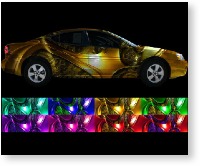 vehicle vinyl wrap Trippin